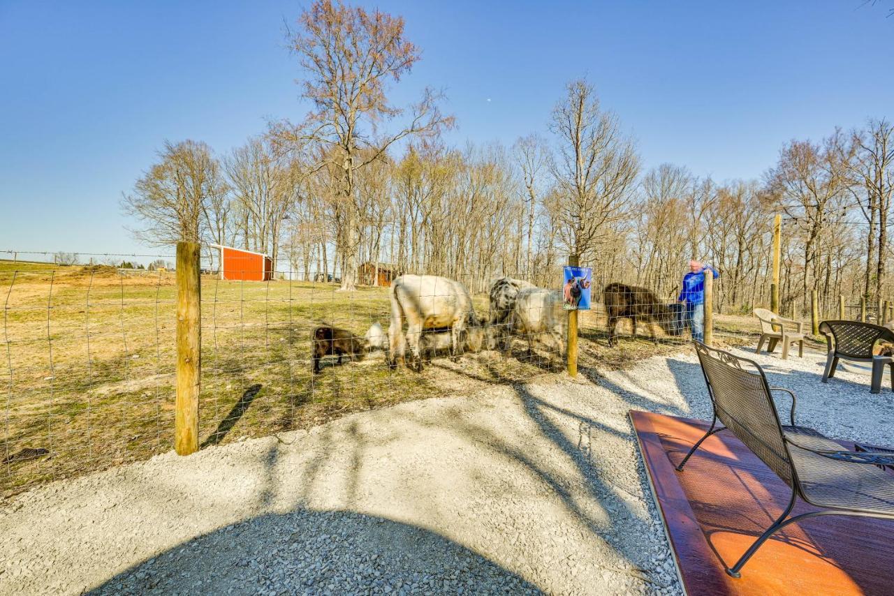 Ultimate Covered Wagon Pioneers Paradise Brownsville Kültér fotó